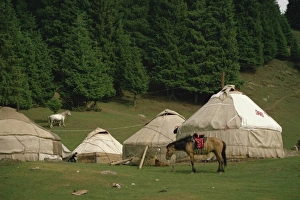 Yurt Prints: Yurts and horses near Lake Tianche in Xinjiang Province, China, Asia