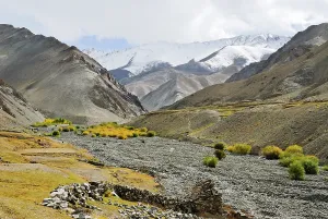 Ladakh Prints: Yurutse valley near Rumbak village