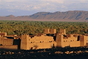 Waste Land Prints: Zagora, Draa Valley