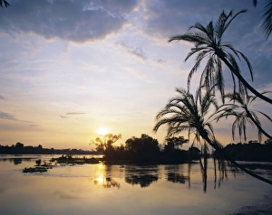 Stick Prints: Zambezi River, Zimbabwe, Africa