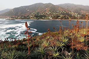 Pacific Coast Prints: Zapallar, Pacific coast, central Chile, South America
