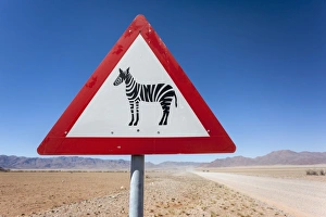 Zebra Prints: Zebra crossing animal warning sign, Namib Desert, Namibia, Africa