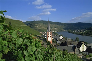 Mosel Valley Prints: Zell-merl, Mosel Valley