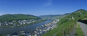 Mosel Valley Prints: Zell, Mosel Valley