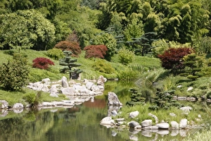 Images Dated 31st July 2009: Zen garden, Anduze, Gard, France, Europe