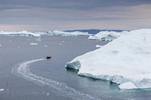 Ilulissat Prints: A Zodiac amongst huge icebergs calved from the Ilulissat Glacier