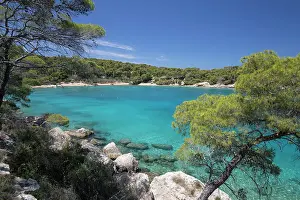 Friends Prints: Zogeria beach with crystal clear blue water with pine trees and rocks
