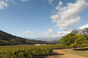 Images Dated 22nd April 2010: Zorgvliet Wine Estate, Stellenbosch, Cape Province, South Africa, Africa