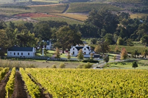 Images Dated 22nd April 2010: Zorgvliet Wine Estate, Stellenbosch, Cape Province, South Africa, Africa