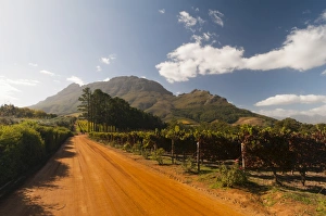 Images Dated 22nd April 2010: Zorgvliet Wine Estate, Stellenbosch, Cape Province, South Africa, Africa
