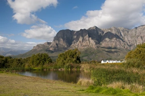 Images Dated 22nd April 2010: Zorgvliet Wine Estate, Stellenbosch, Cape Province, South Africa, Africa