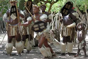 Portraits Prints: Zulu tribal dance group, Dumazula Cultural Village, South Africa, Africa